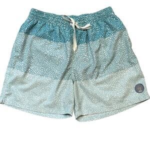 Chubbies Swim Trunks Stretch 5.5" Large Blue Green Gradient Dots Color Block